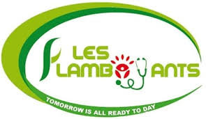 LES FLAMBOYANTS